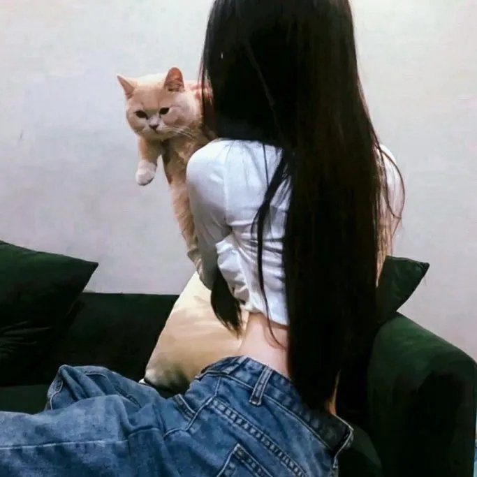 西行记