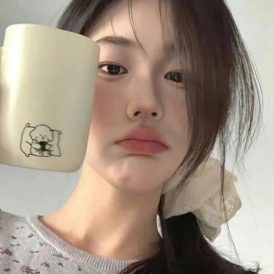 诺曼人生